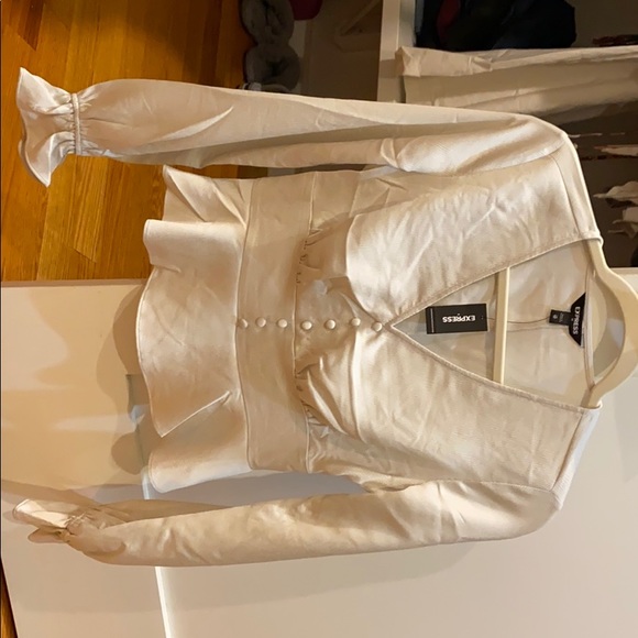 Express Tops - Silk, puff sleeve shimmer top